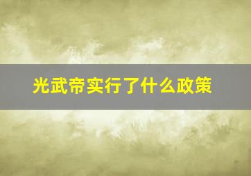 光武帝实行了什么政策