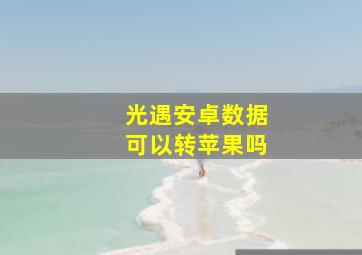 光遇安卓数据可以转苹果吗