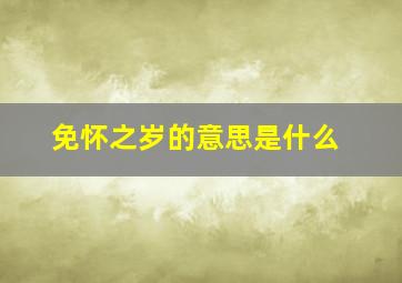 免怀之岁的意思是什么