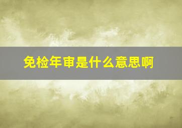 免检年审是什么意思啊