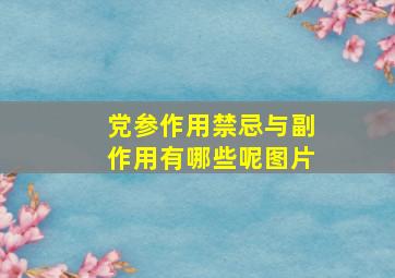 党参作用禁忌与副作用有哪些呢图片