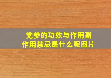 党参的功效与作用副作用禁忌是什么呢图片