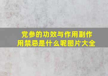 党参的功效与作用副作用禁忌是什么呢图片大全