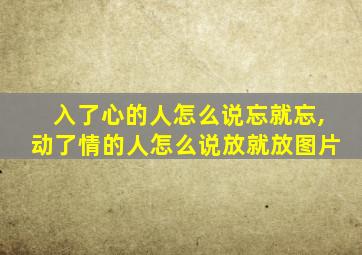 入了心的人怎么说忘就忘,动了情的人怎么说放就放图片