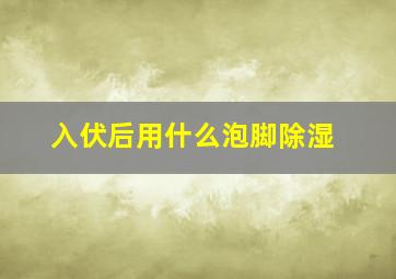 入伏后用什么泡脚除湿