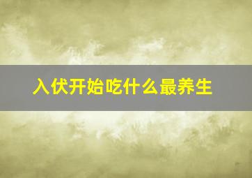 入伏开始吃什么最养生