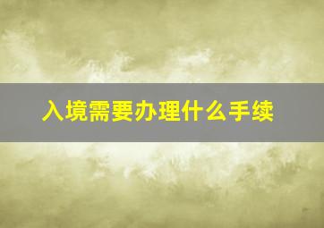 入境需要办理什么手续