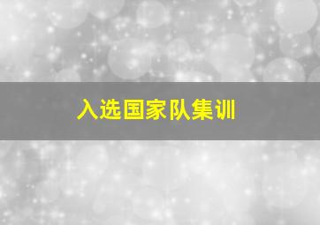 入选国家队集训