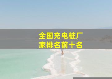 全国充电桩厂家排名前十名