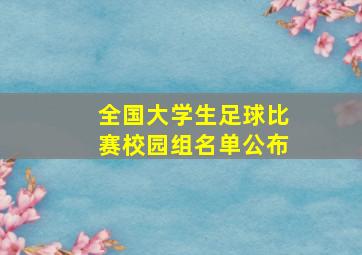 全国大学生足球比赛校园组名单公布