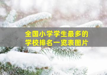 全国小学学生最多的学校排名一览表图片