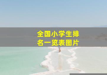 全国小学生排名一览表图片