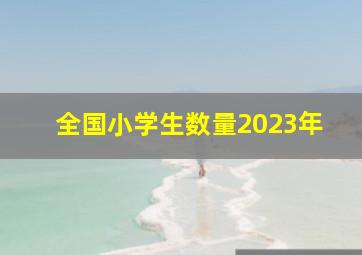 全国小学生数量2023年