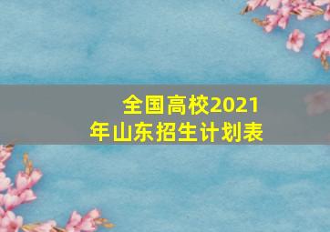 全国高校2021年山东招生计划表