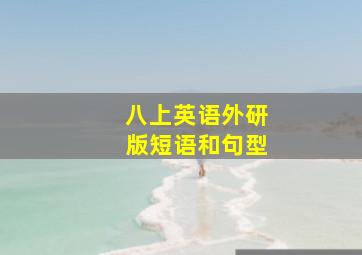 八上英语外研版短语和句型