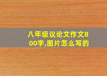 八年级议论文作文800字,图片怎么写的