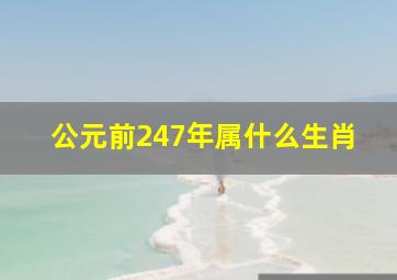 公元前247年属什么生肖