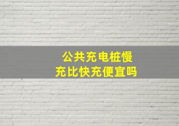 公共充电桩慢充比快充便宜吗