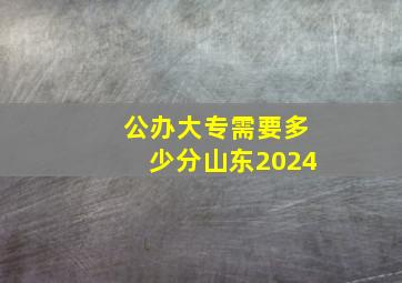 公办大专需要多少分山东2024