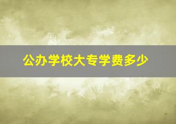 公办学校大专学费多少