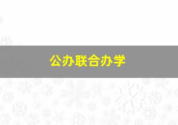 公办联合办学