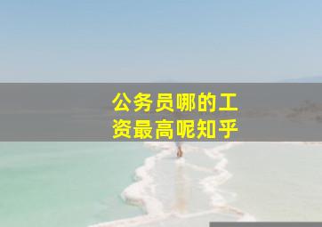 公务员哪的工资最高呢知乎