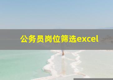 公务员岗位筛选excel