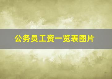 公务员工资一览表图片