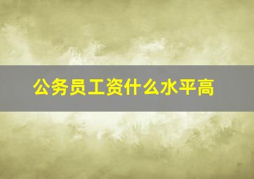 公务员工资什么水平高