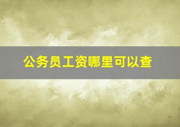 公务员工资哪里可以查