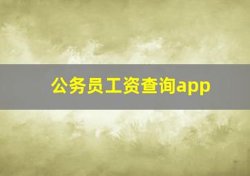 公务员工资查询app