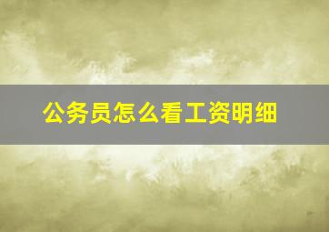 公务员怎么看工资明细