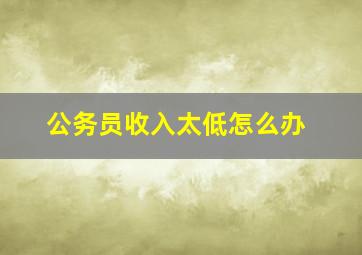 公务员收入太低怎么办