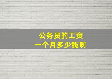 公务员的工资一个月多少钱啊