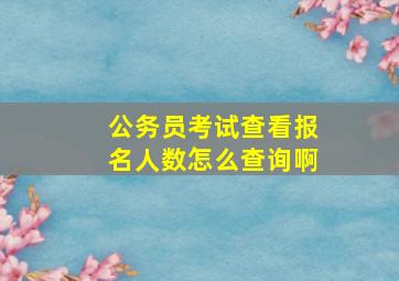 公务员考试查看报名人数怎么查询啊