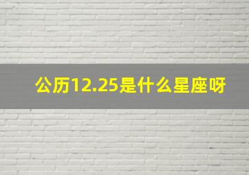 公历12.25是什么星座呀