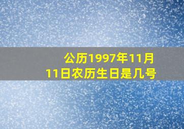 公历1997年11月11日农历生日是几号