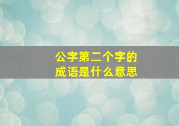 公字第二个字的成语是什么意思