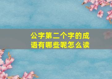 公字第二个字的成语有哪些呢怎么读