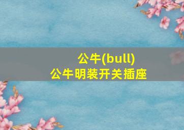 公牛(bull)公牛明装开关插座