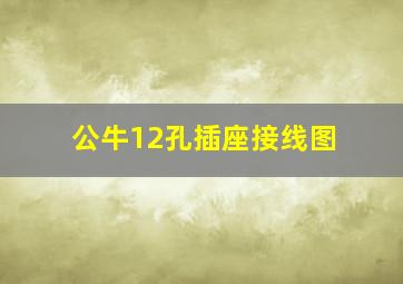 公牛12孔插座接线图