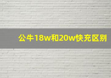 公牛18w和20w快充区别