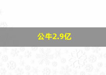 公牛2.9亿