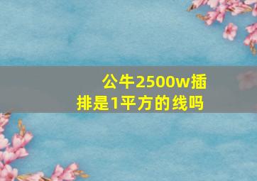 公牛2500w插排是1平方的线吗