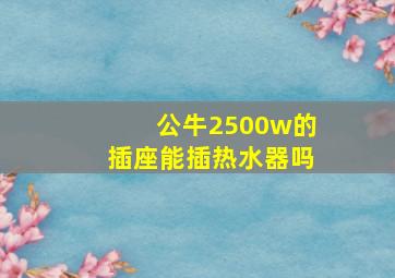 公牛2500w的插座能插热水器吗