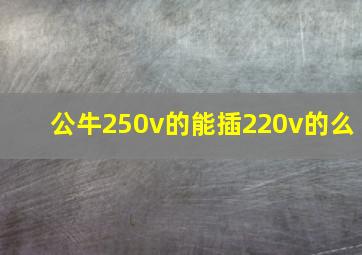 公牛250v的能插220v的么