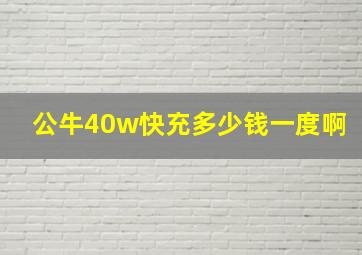 公牛40w快充多少钱一度啊