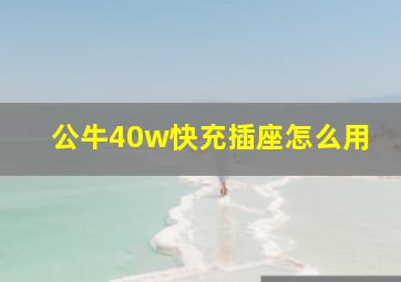 公牛40w快充插座怎么用