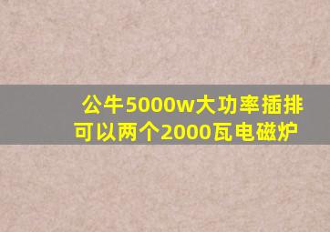 公牛5000w大功率插排可以两个2000瓦电磁炉