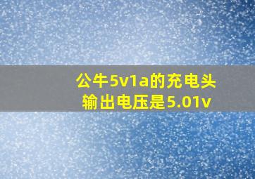 公牛5v1a的充电头输出电压是5.01v